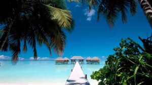 Read more about the article Поездка на Мальдивы