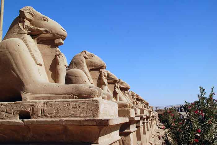 Праздники в Египте